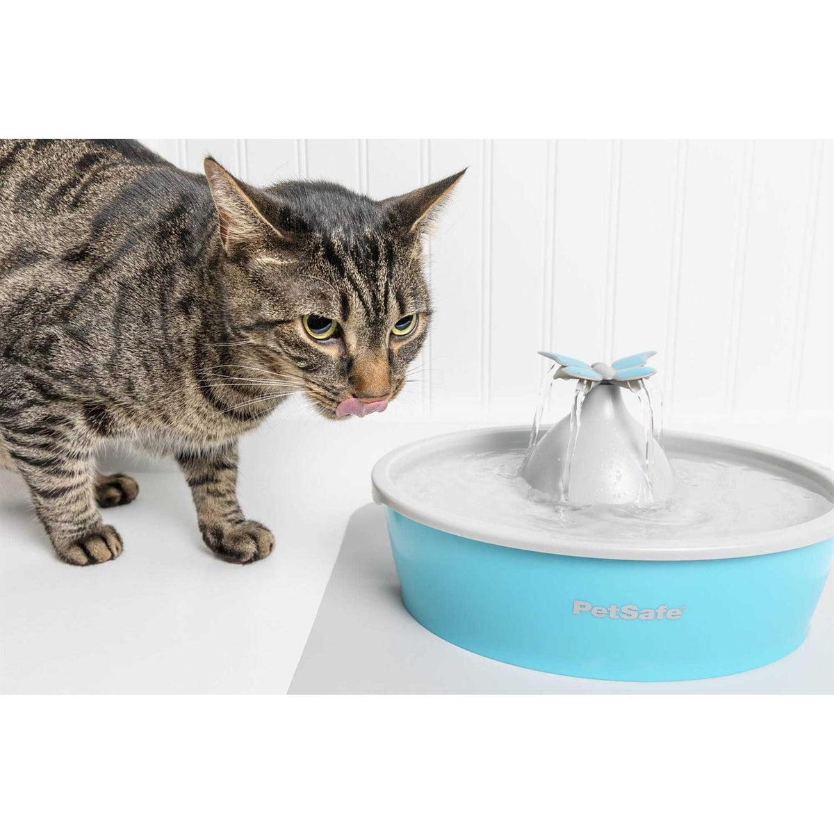 Pet Fountain M135199