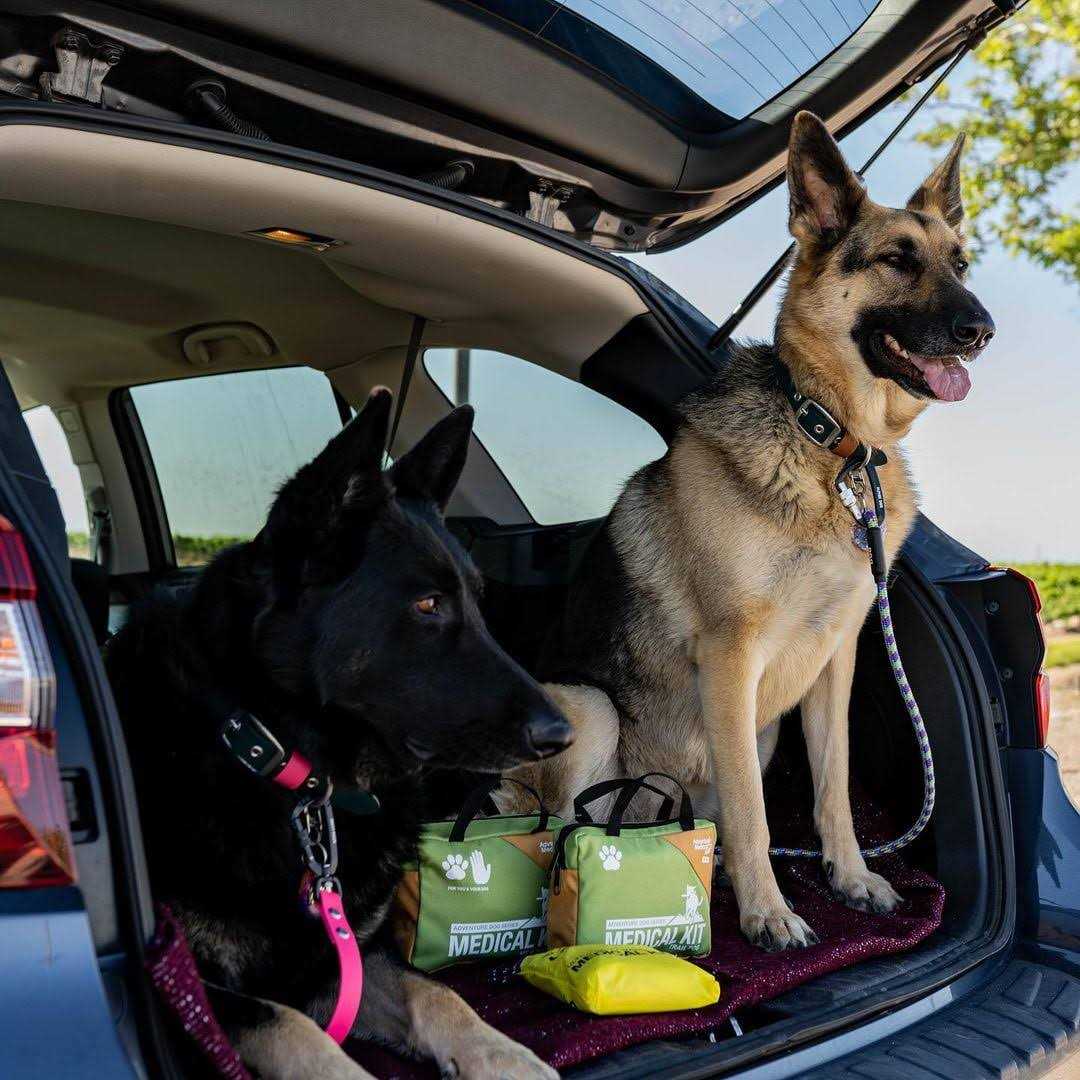 Dog Kit E4628