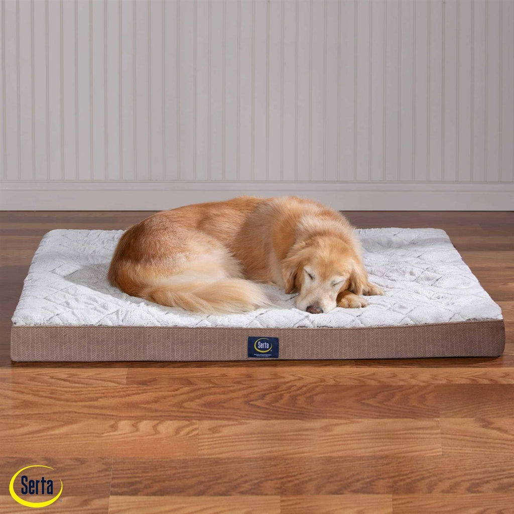 Quilted Pillowtop Pet Bed T1220