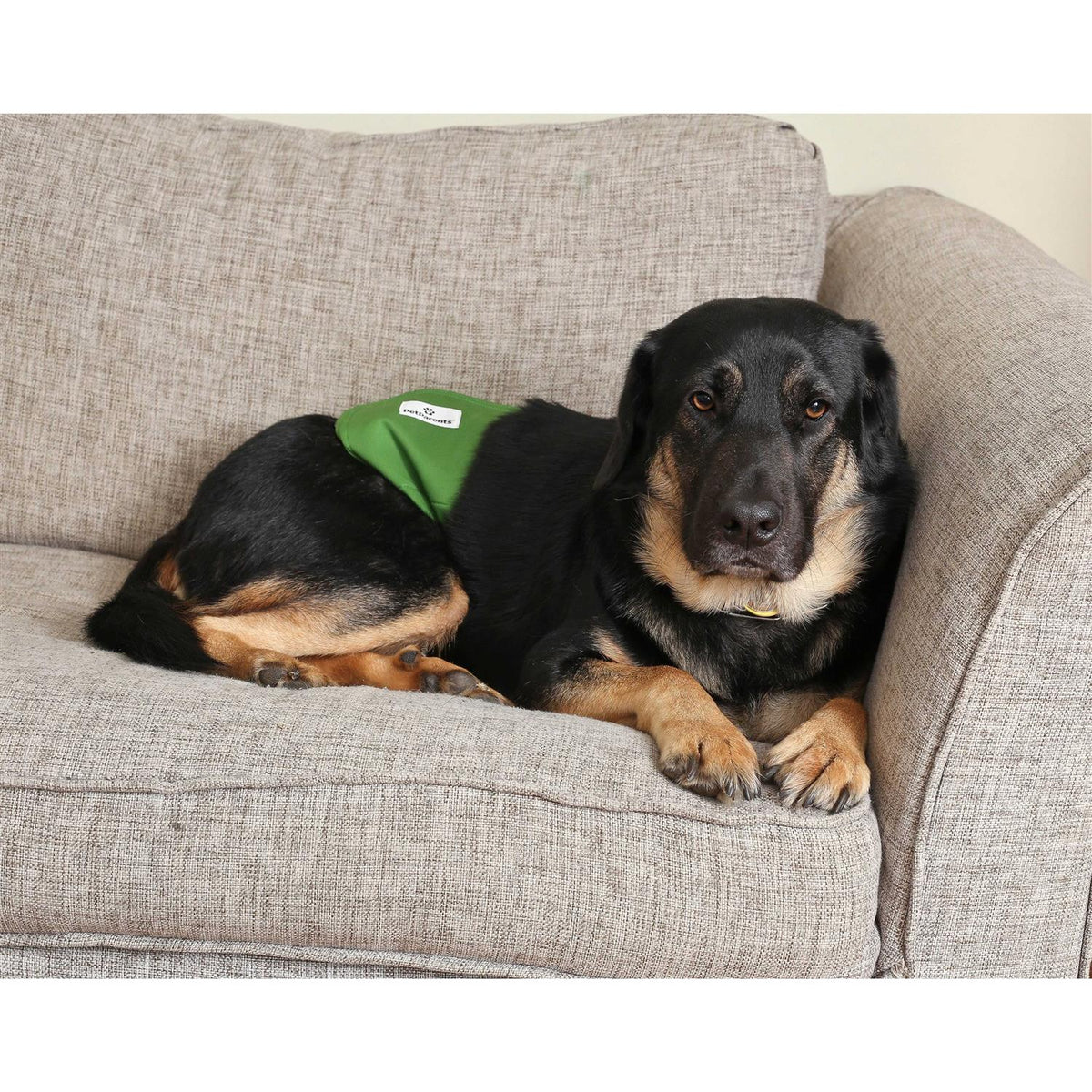 Washable Dog Belly Bands E9286