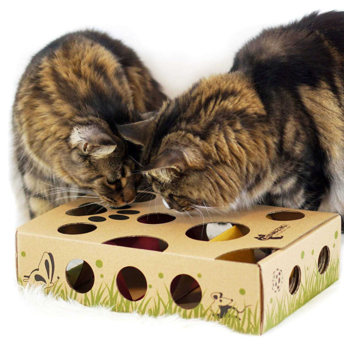 Interactive Cat Treat Maze Puzzle Feeder F93176