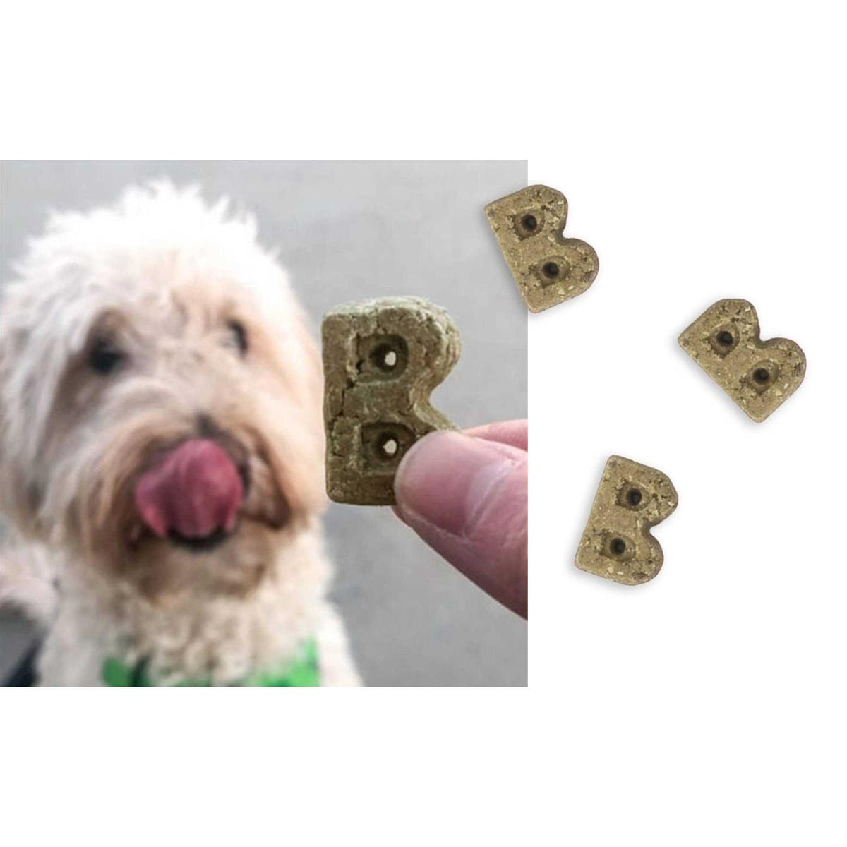 Soft & Chewy Dog Treats B50618