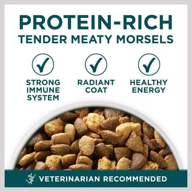 Large Breed Dry Puppy Food N9528