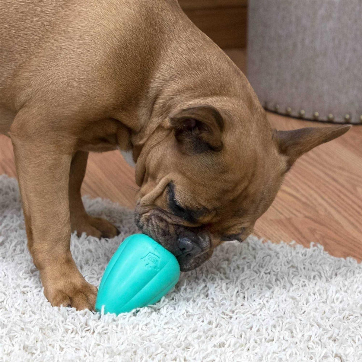 Dog Toy U102426