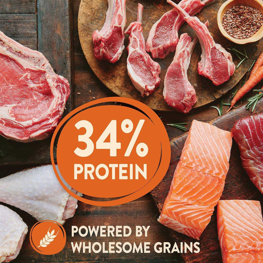 High Protein Wholesome Grains Dry Dog Food Q15651