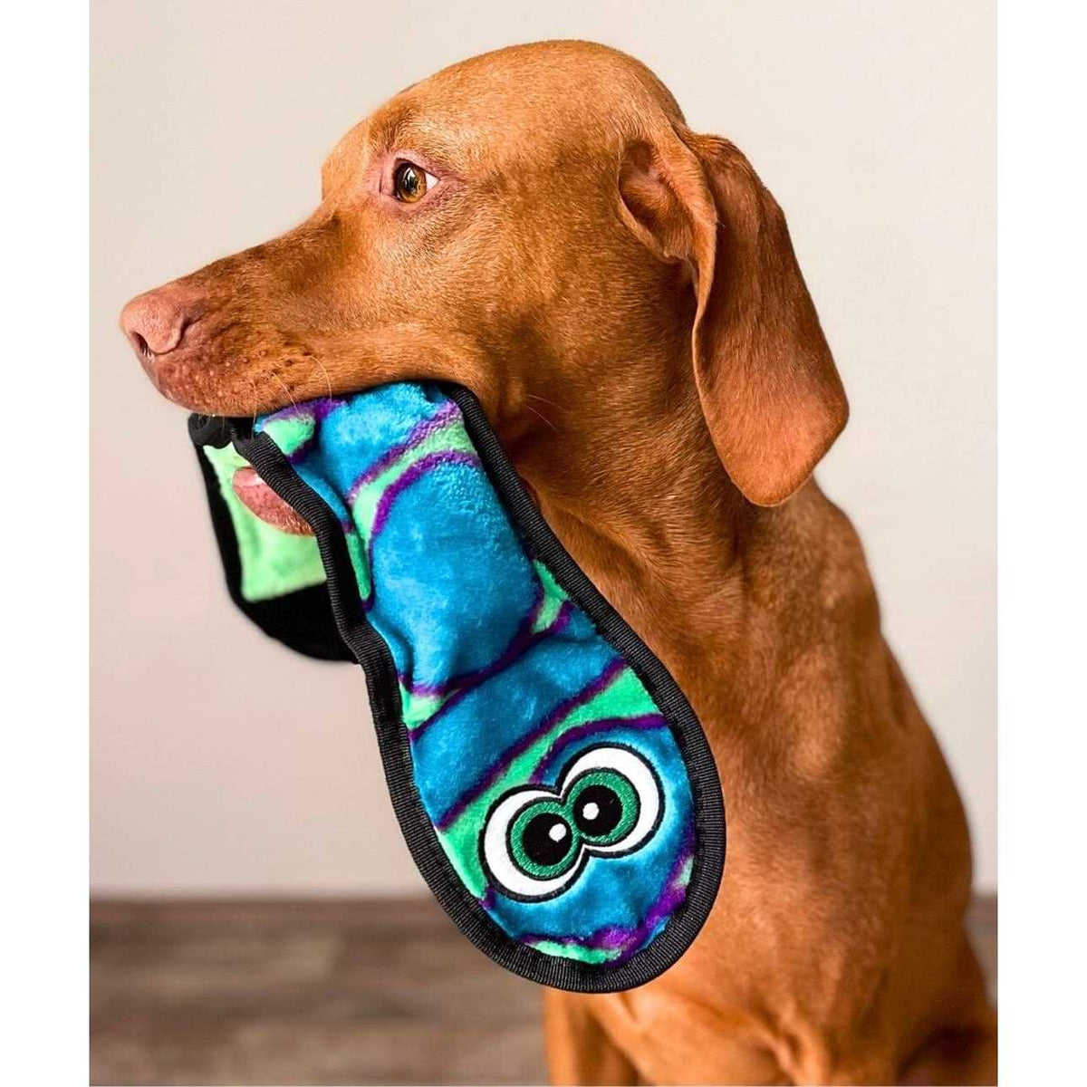 Snake Dog Toy R8679