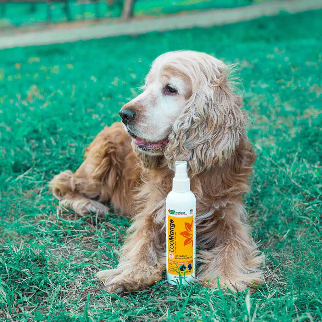 Dog & Cat Mange Skin Treatment O6422