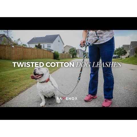 Dog Leash with Chain W599463