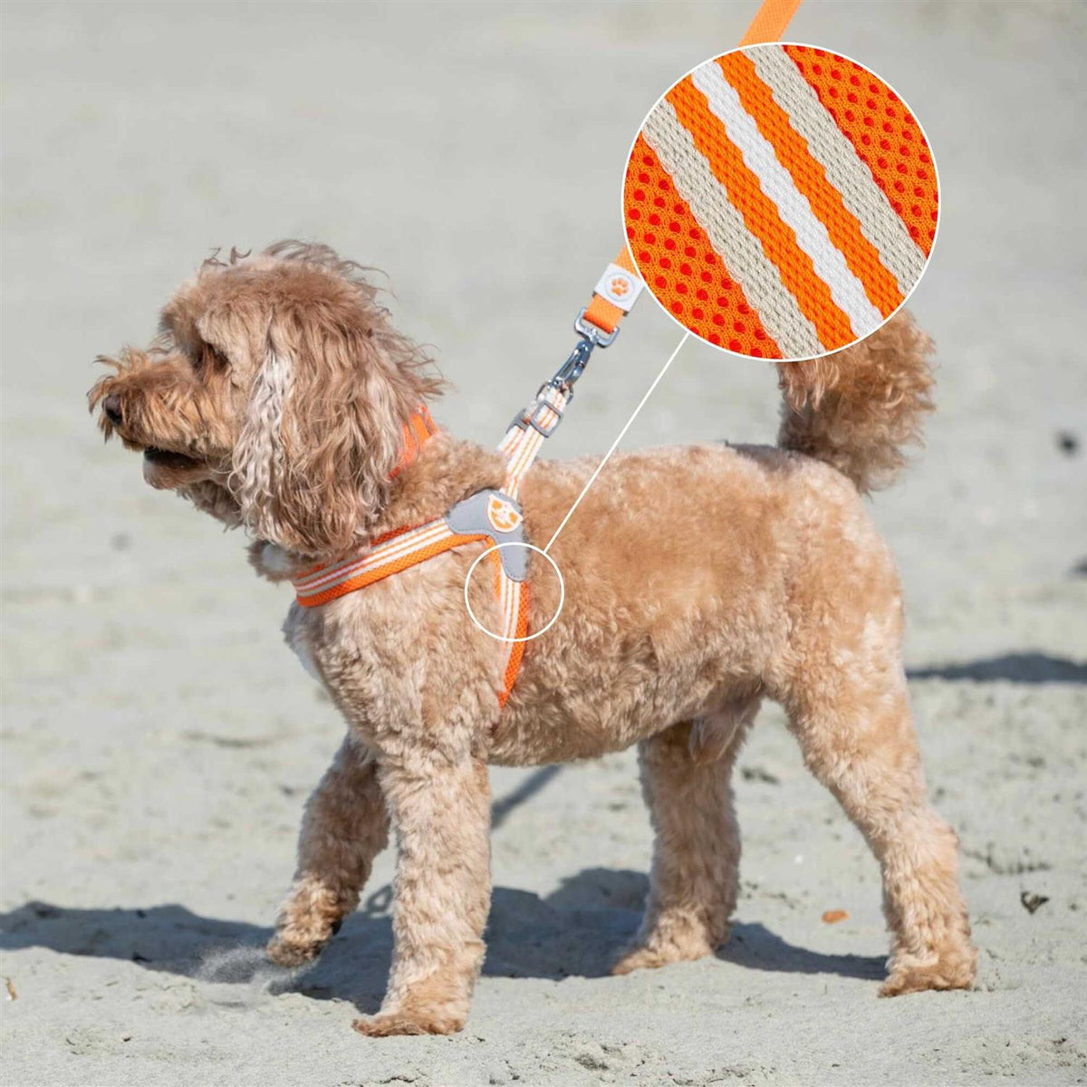 Dog Harness J138313