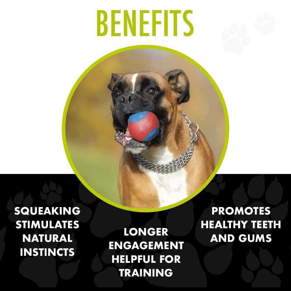 Armor Ball Dog Toy X3233
