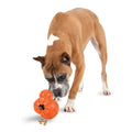 PetSafe Sportsmen Barnacle D7731