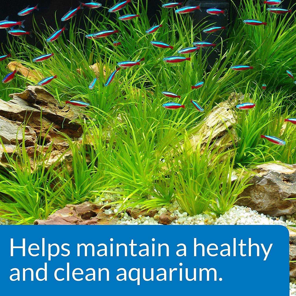 Aquarium Start Up Pack X181947