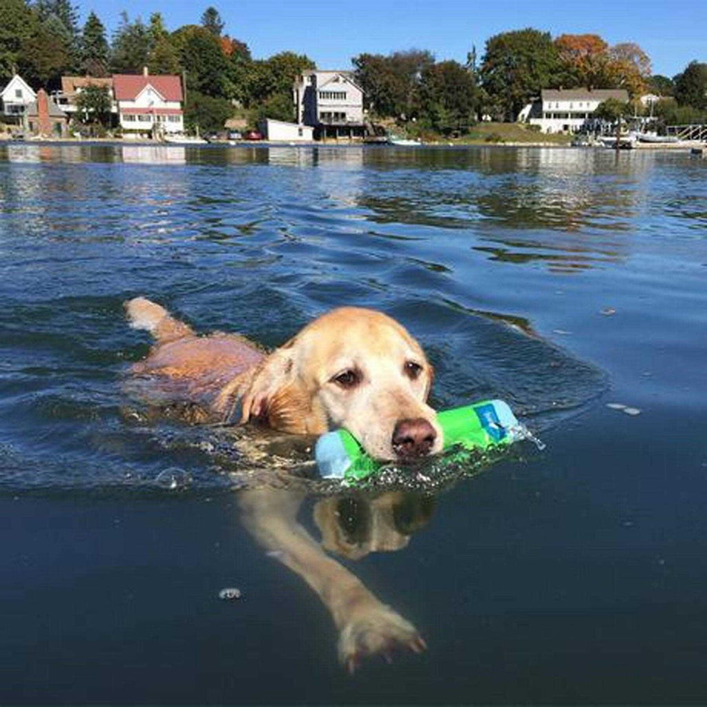 Amphibious Bumper Toy S896