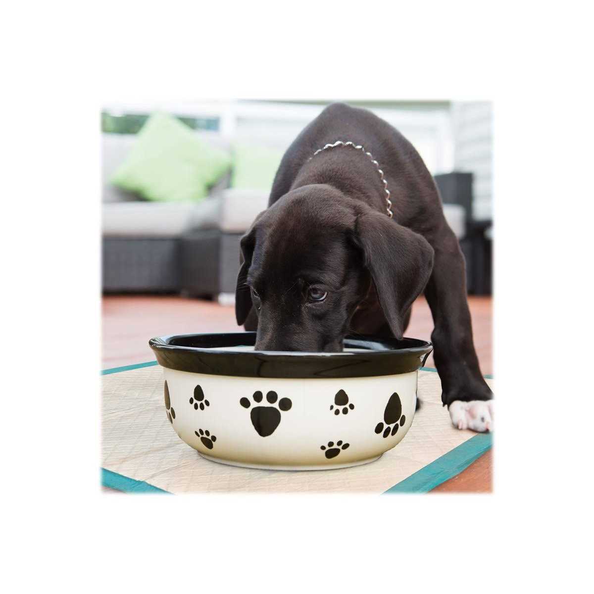 Dog Training Pads I4524