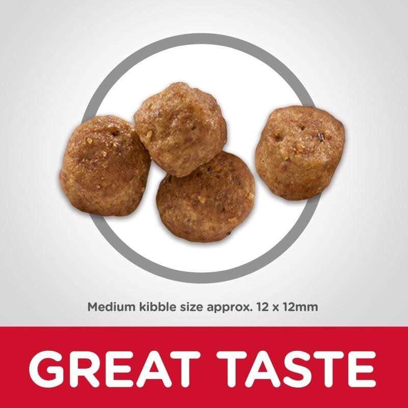 Dry Dog Food I945856