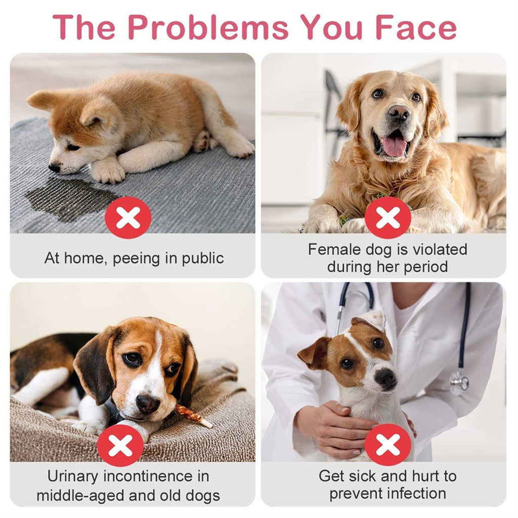Disposable Female Dog Diapers with Adjustable Elastic Waistline B1858