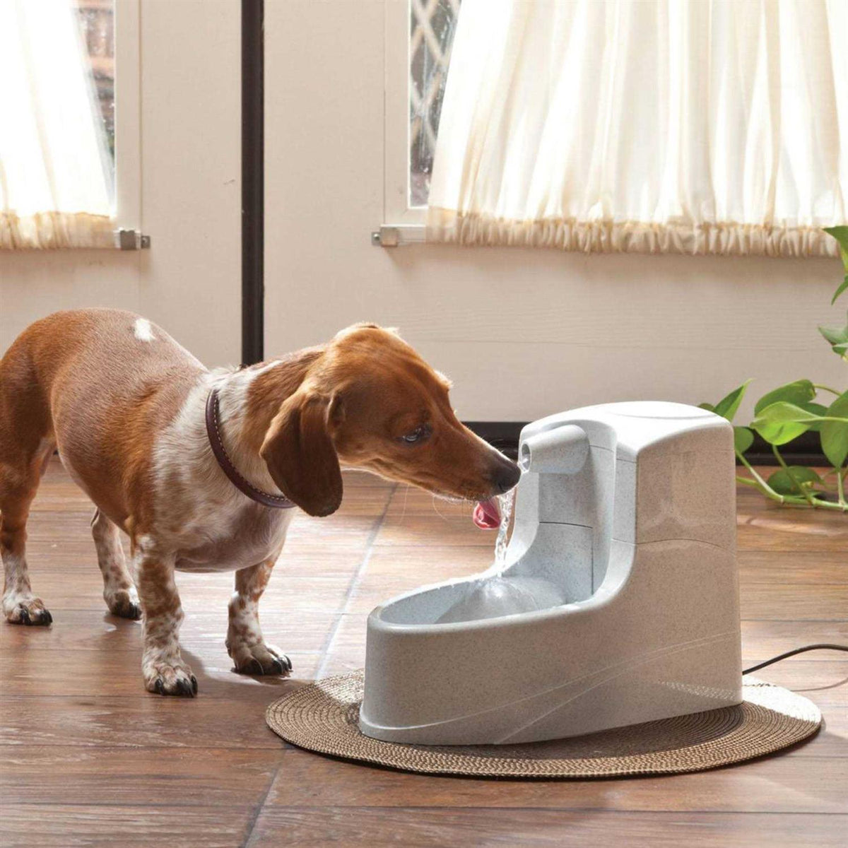 1.2L Pet Fountain B544646