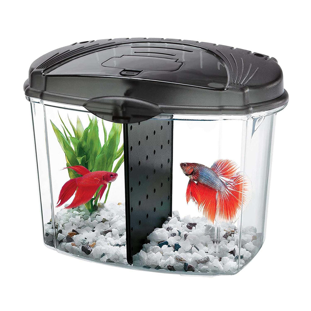 Betta Bowl Kit V523482