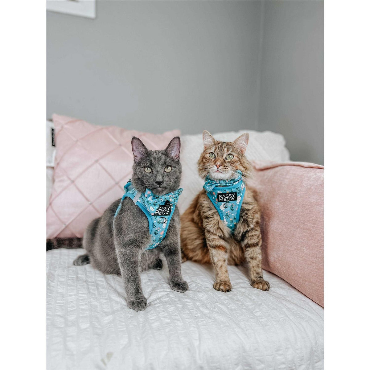 Cat Step-In Harness S5269