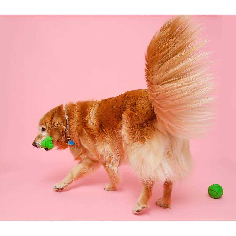 Dura Play Bone Dog Toy Y9101