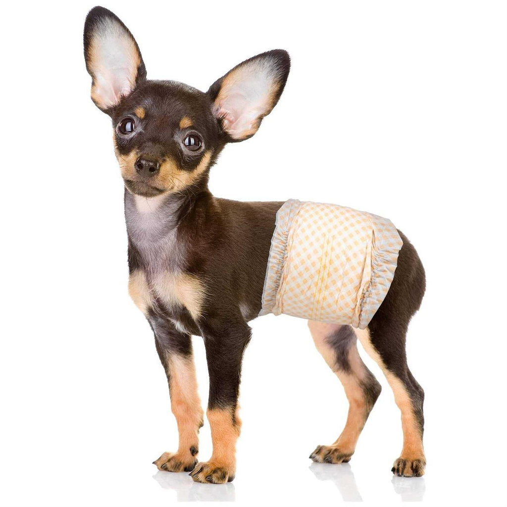 Soft Disposable Male Dog Diapers P490699