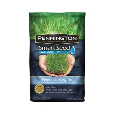 Perennial Rye Blend Grass Seed Mixture, 3-Pound B891