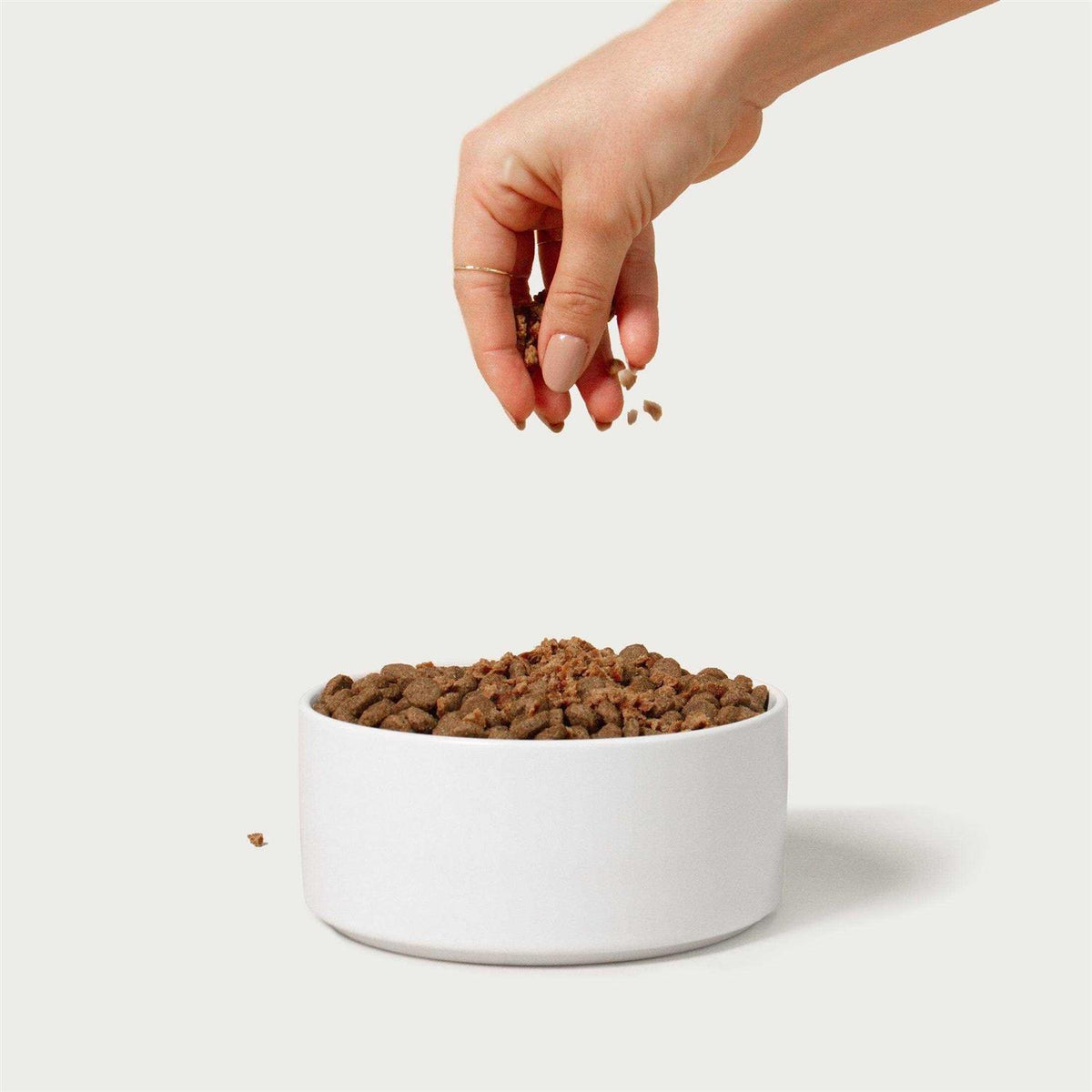 Beef Recipe Dog Food Topper G4211