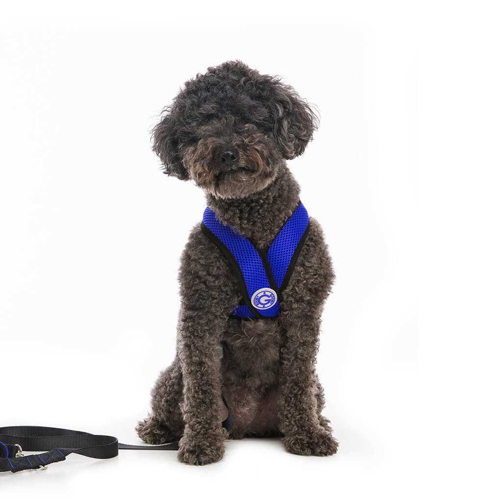 Step-In Dog Harness X34670