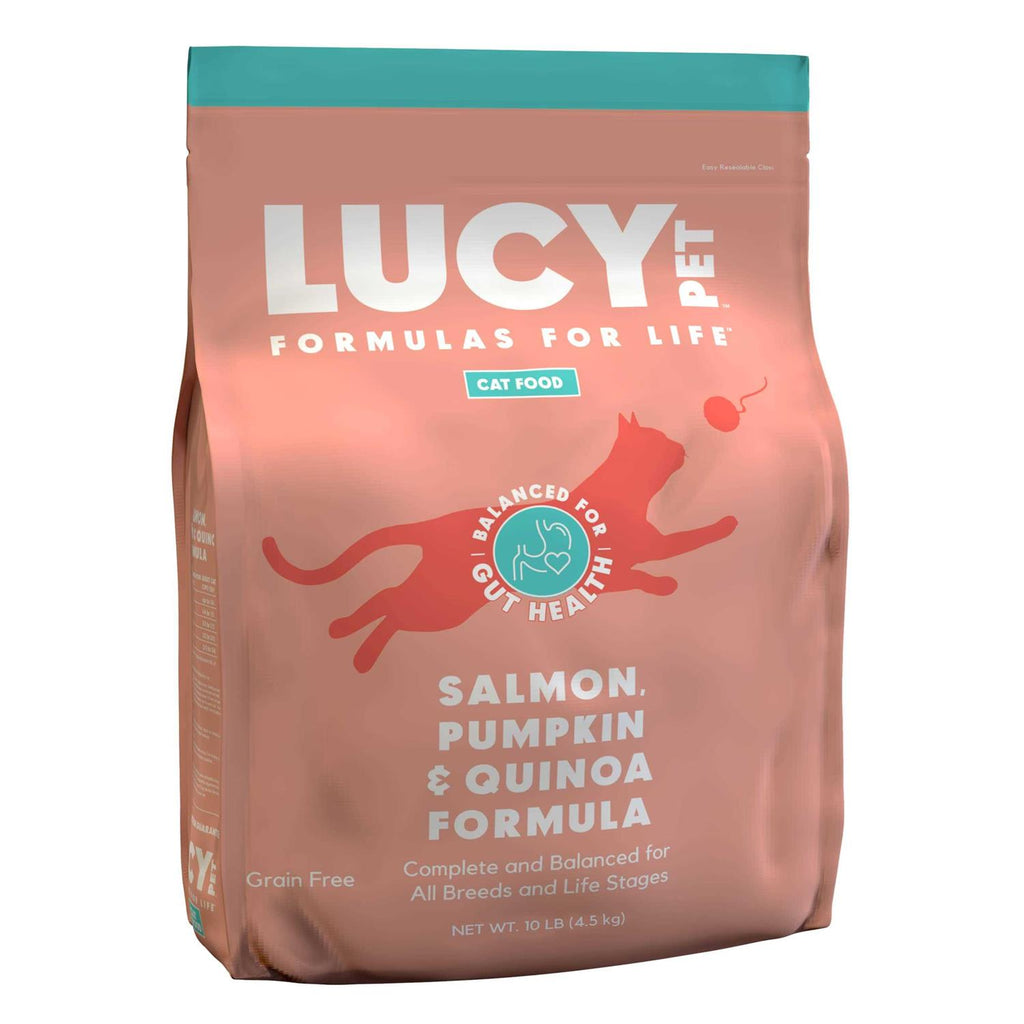 Dry Cat Food Salmon H4199