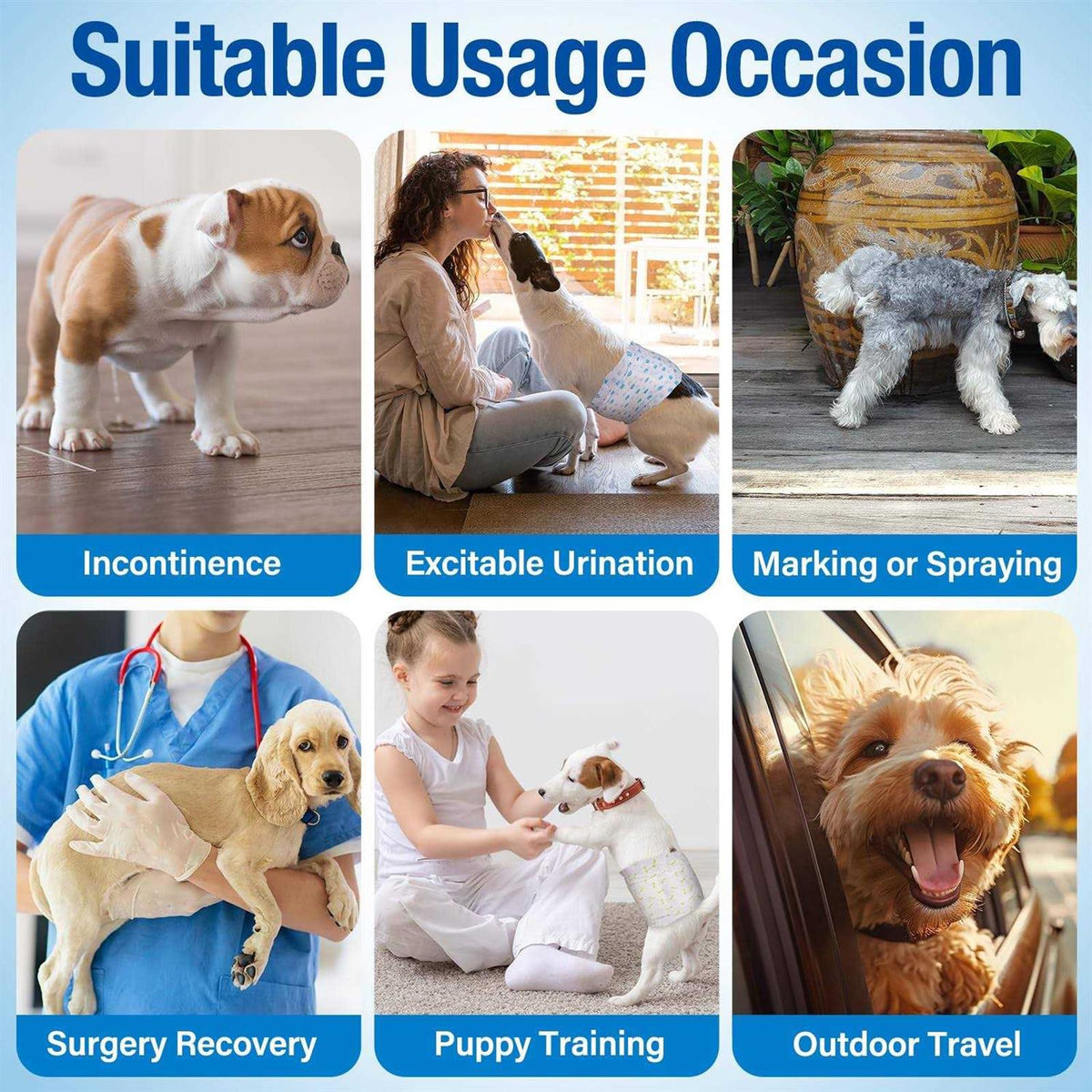 Soft Disposable Male Dog Diapers P490699