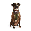 Dog Harness A5879