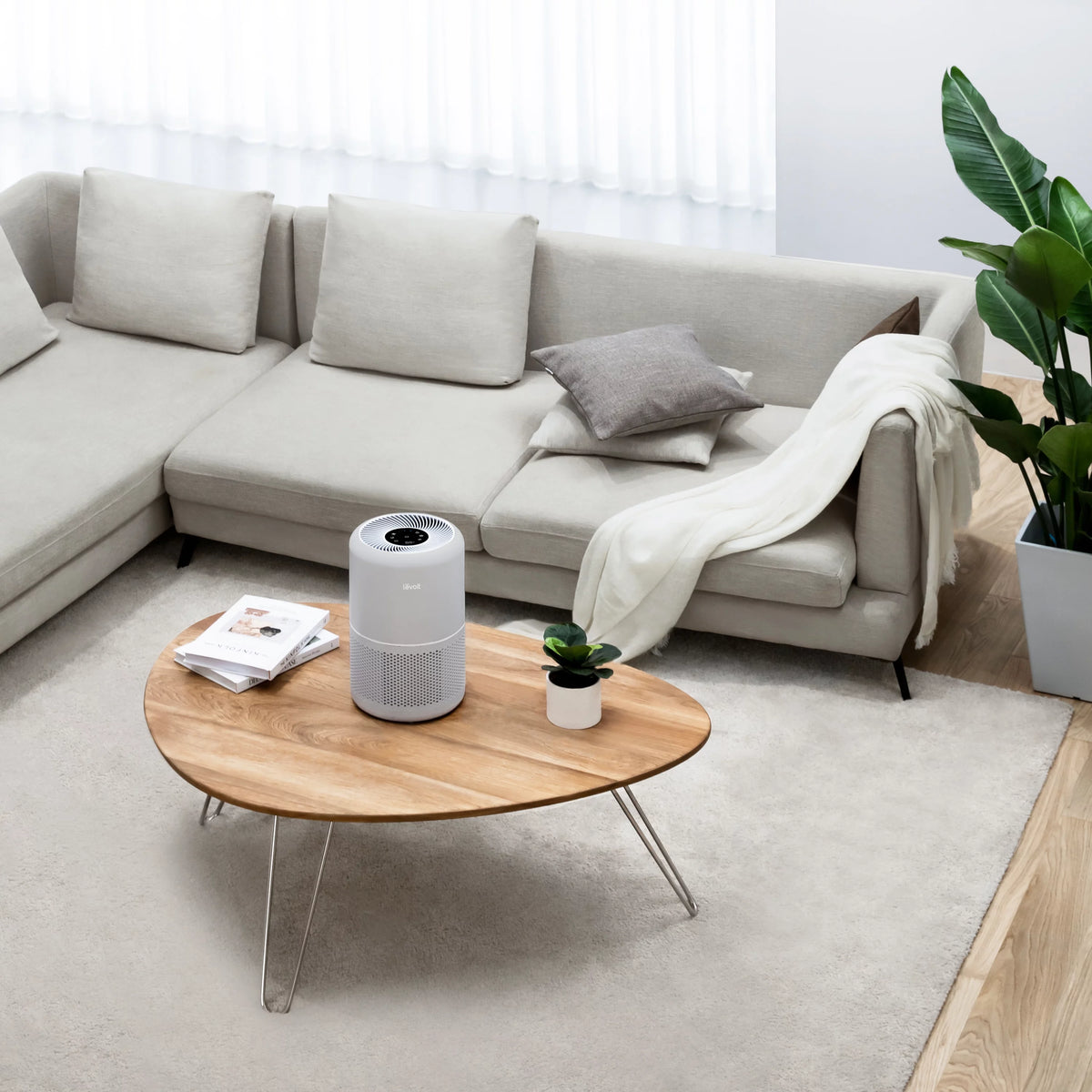 Air Purifier B276115
