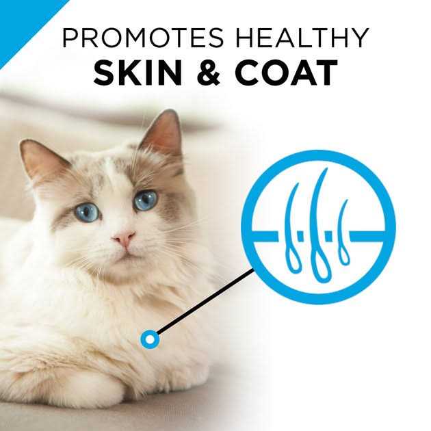 Sensitive Skin & Stomach Cat Food R3360