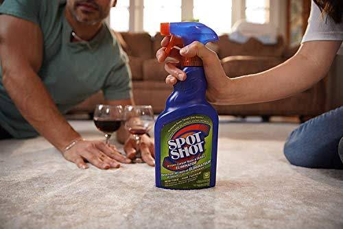 Instant Carpet Stain & Odor Eliminator 22 oz (Pack of 6) T638046
