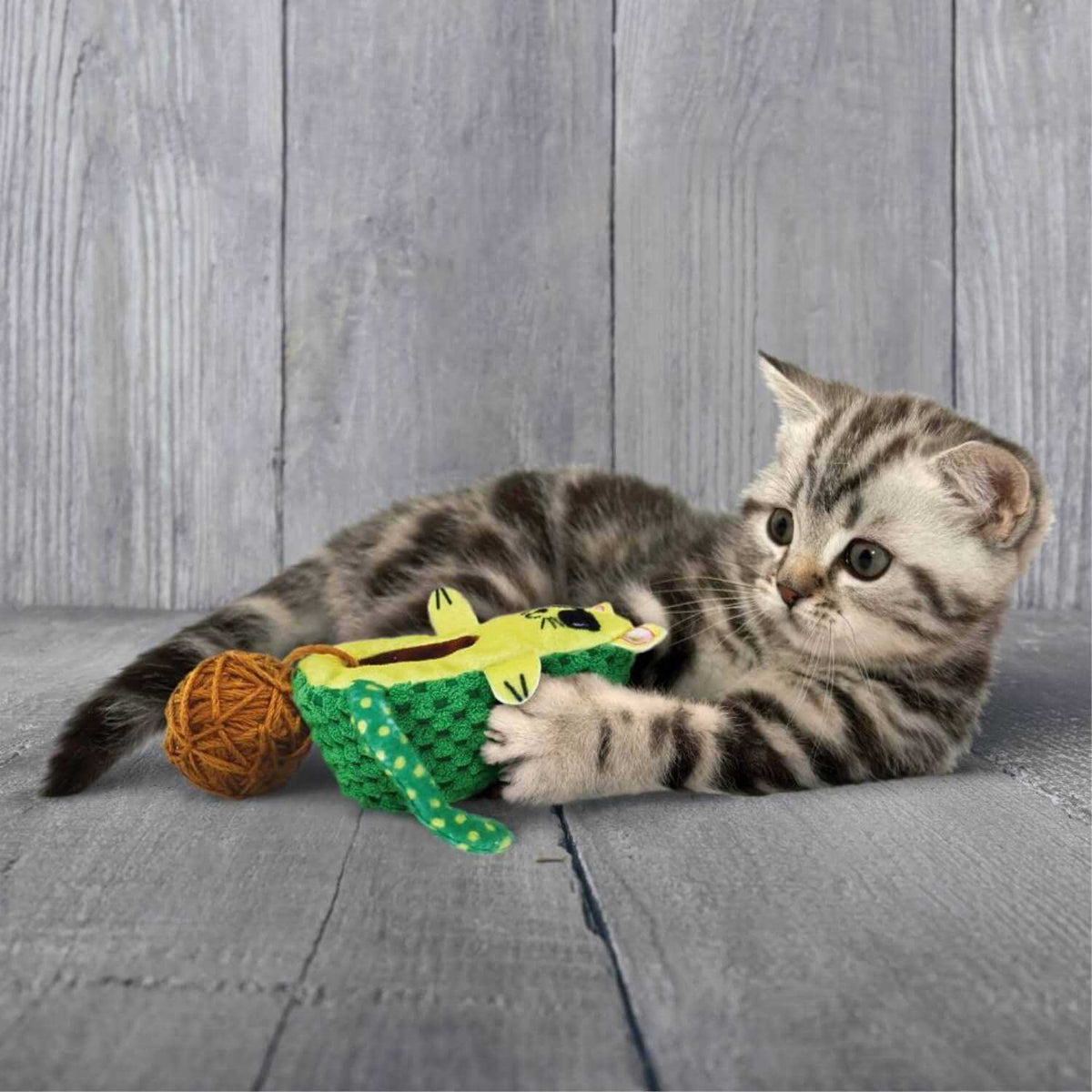 Cat Toy Z4860