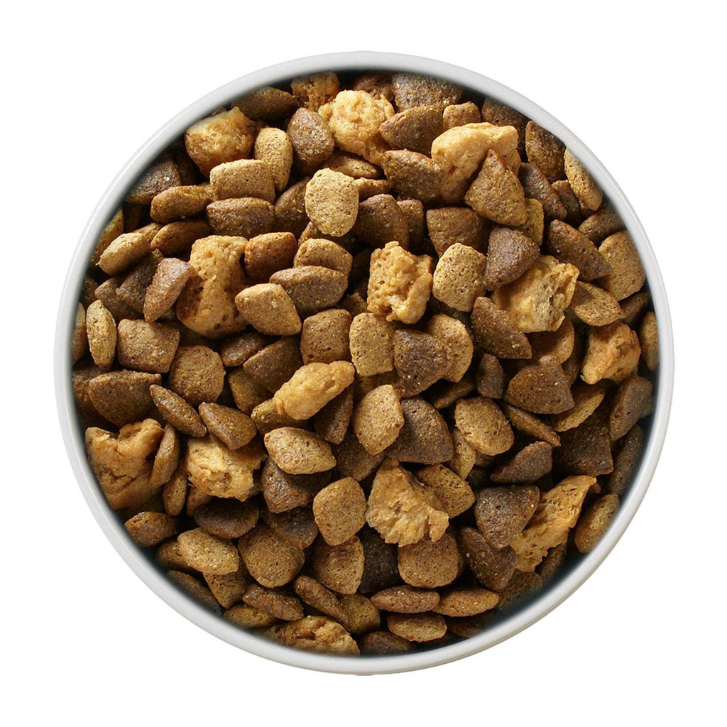 Large Breed Dry Puppy Food N9528