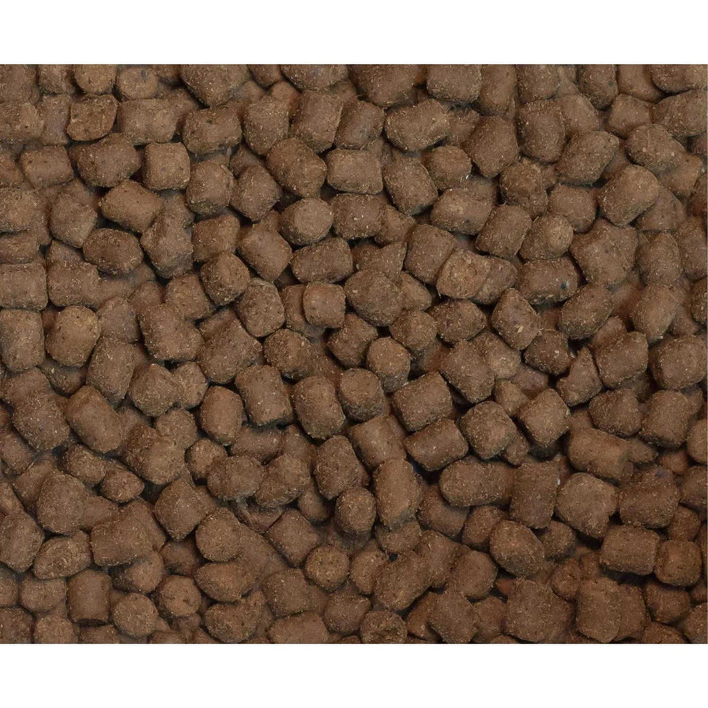 Dry Ferret Food H178