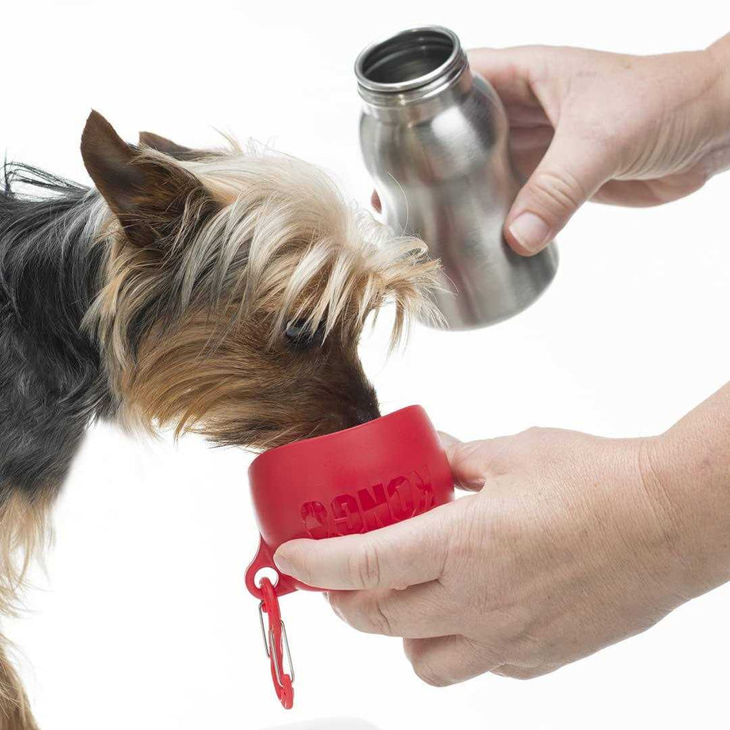 Stainless Steel Dog Water Bottle S3210