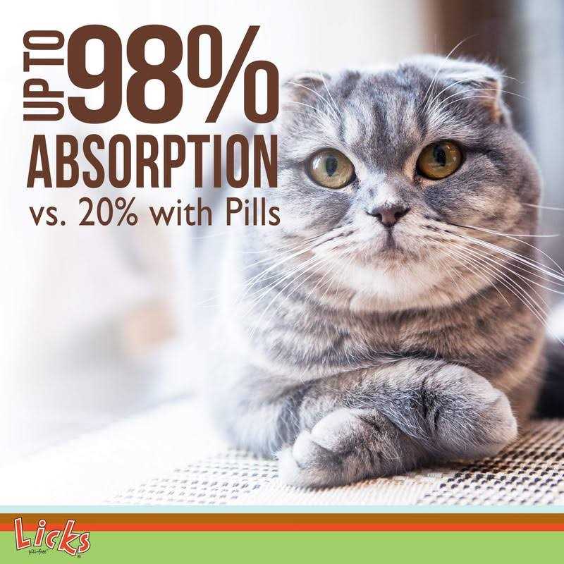 Senior Cat Joint Support & Digestion Supplement T89222
