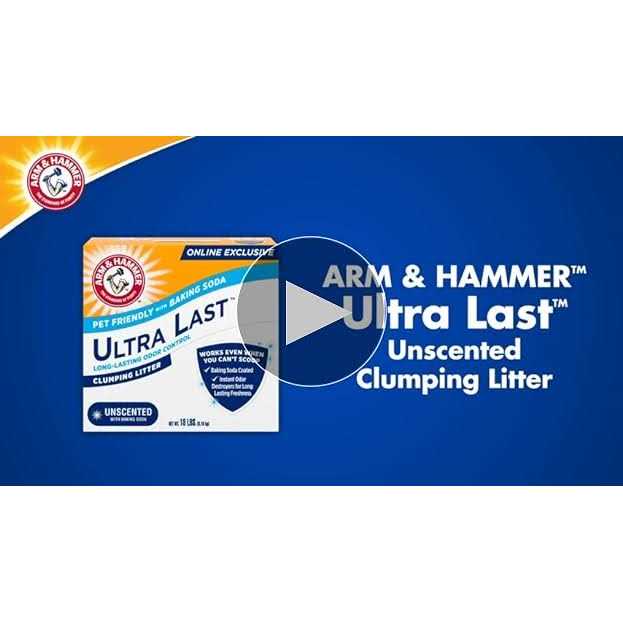 Unscented Clumping Cat Litter Z9967