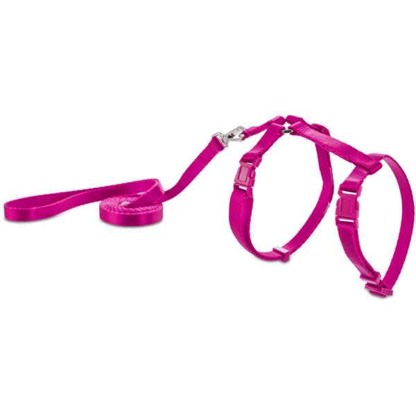 Harness W381757