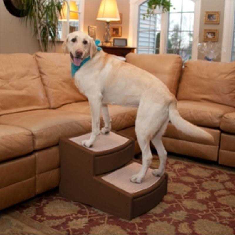 Pet Stairs A665815