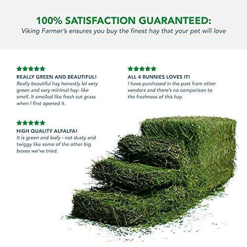 Alfalfa Hay for Rabbits & Small Pets O278826