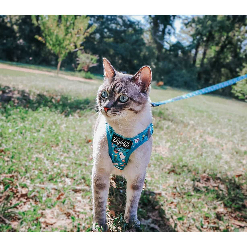 Cat Step-In Harness S5269