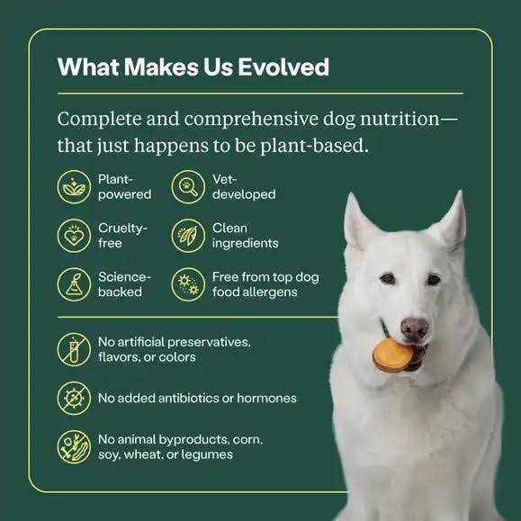 Dry Dog Food E13265