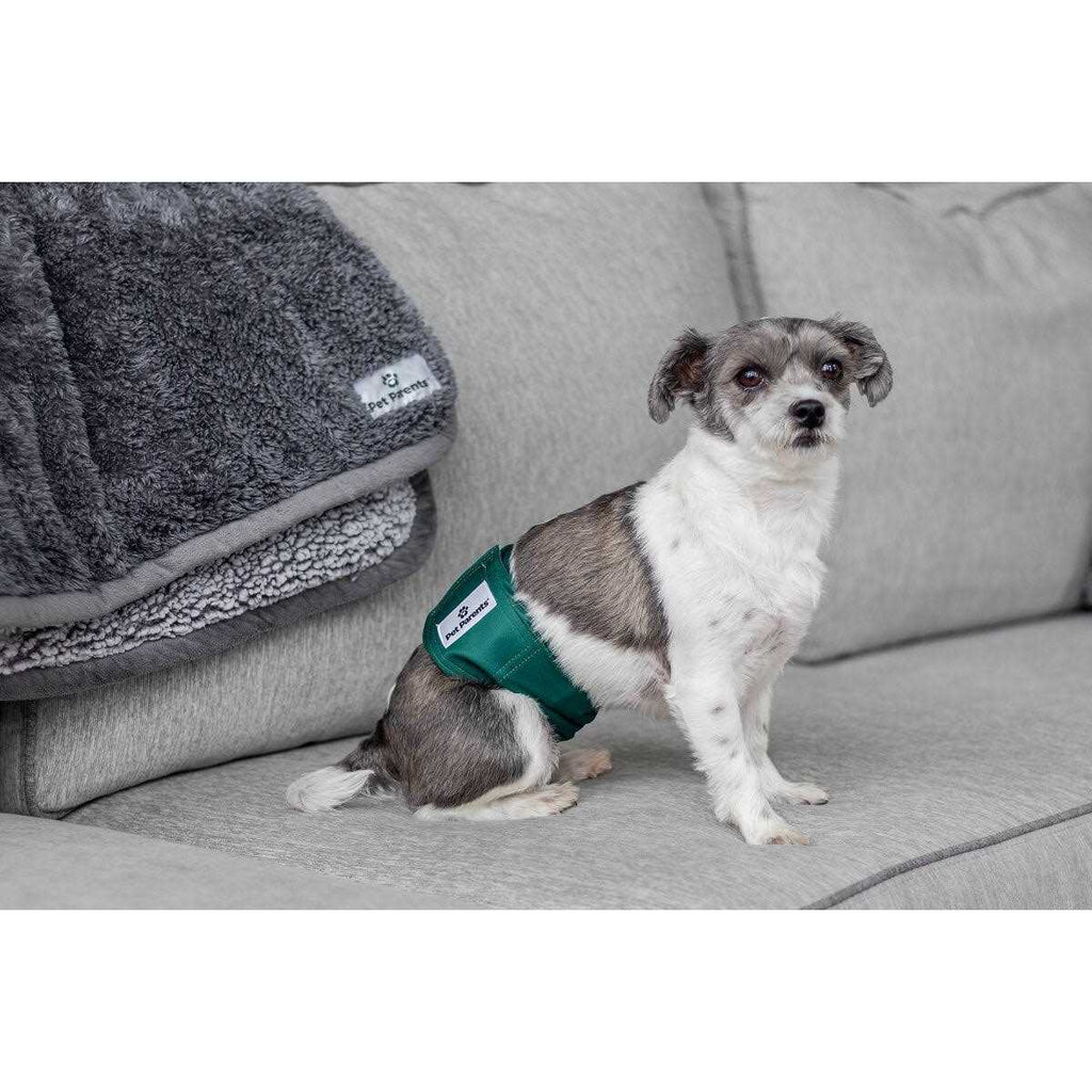 Washable Dog Belly Bands E9286