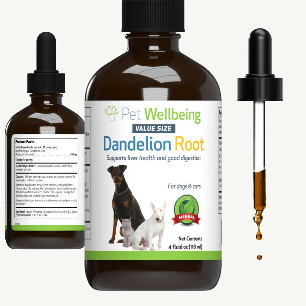 Dandelion Root Cat Liver and Digestive Support U80496