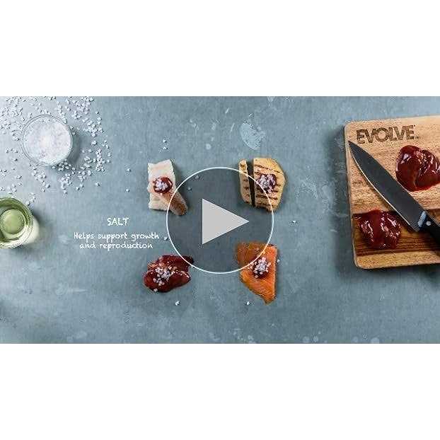Liver Recipe Wet Cat Food T336812