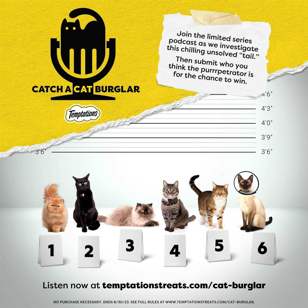 Treat Dispensing Cat Toy J134