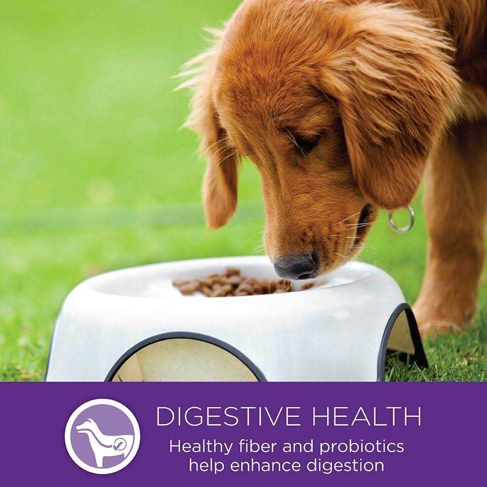 Small Breed Dog Food F376
